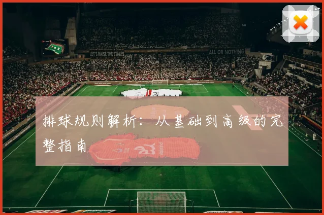 排球规则解析：从基础到高级的完整指南