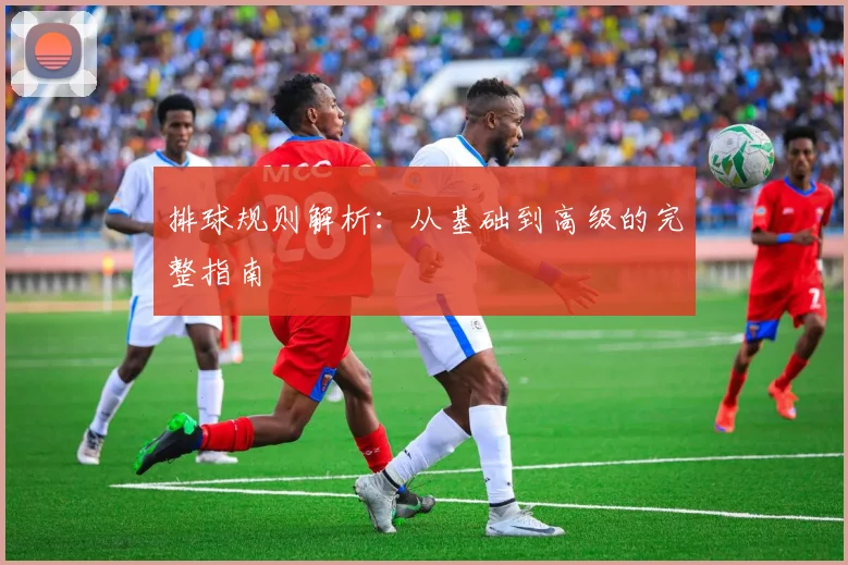 排球规则解析:从基础到高级的完整指南
