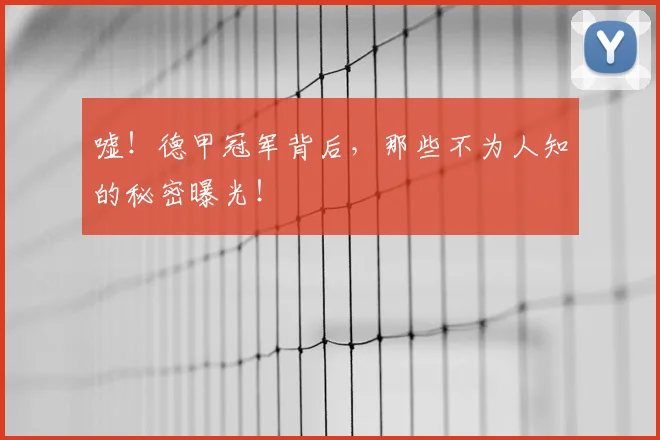 嘘!德甲冠军背后,那些不为人知的秘密曝光!